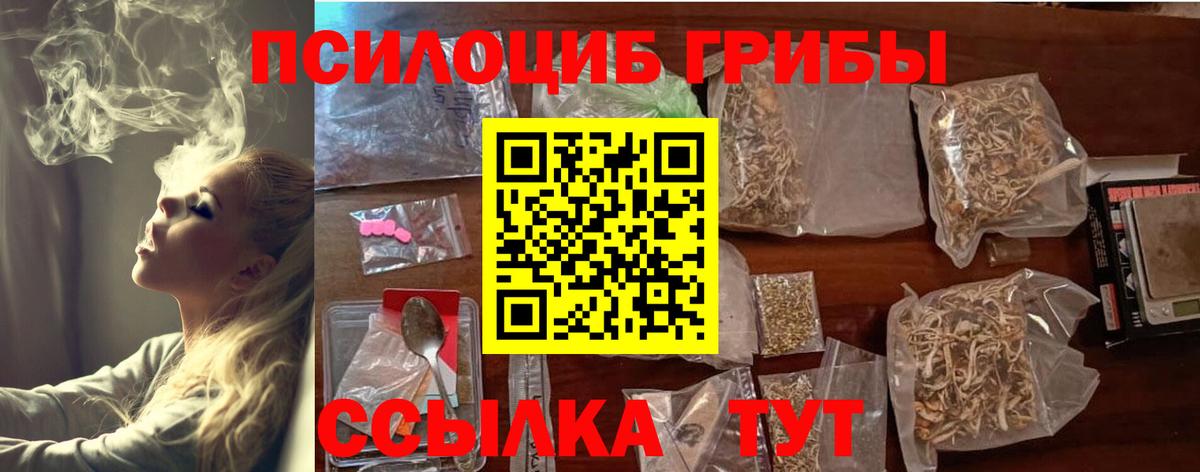 Галлюциногенные грибы Psilocybe Изобильный
